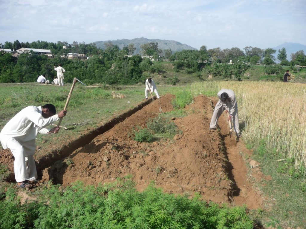 10-House Project - digging foundations